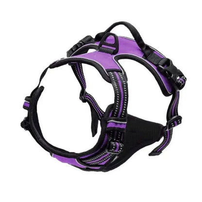 Comfort Control Dog Harness - SHIMIS