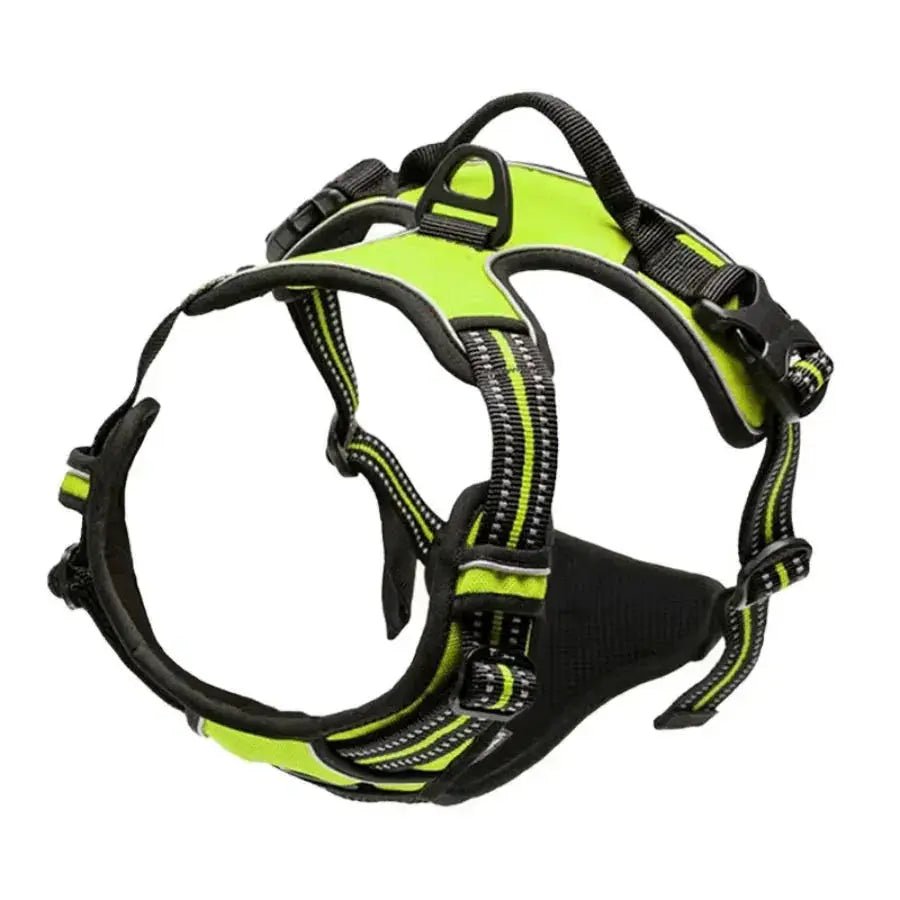 Comfort Control Dog Harness - SHIMIS