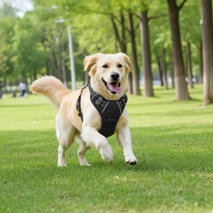 Comfort Control Dog Harness - SHIMIS