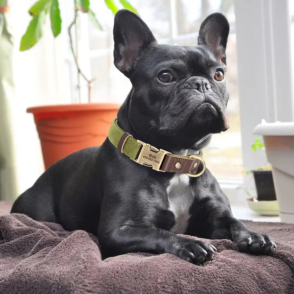 Custom Engraved Leather Dog Collar - SHIMIS