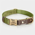 קולר עור יוקרתי לכלב עם חריטה אישית!