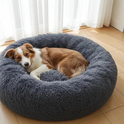 SHIMIS Calming Sofa Saver Bed - SHIMIS