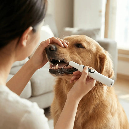 SHIMIS™ Pro - Dental Ultrasonic Scaler - Professional Cleaning - SHIMIS