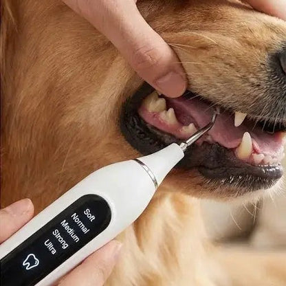 SHIMIS™ Pro - Dental Ultrasonic Scaler - Professional Cleaning - SHIMIS