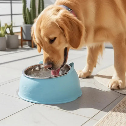 Stainless Steel Cat Bowl - SHIMIS